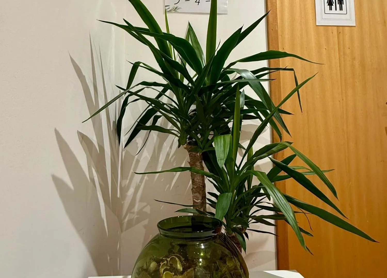 ליסבון Rooms In Arroios